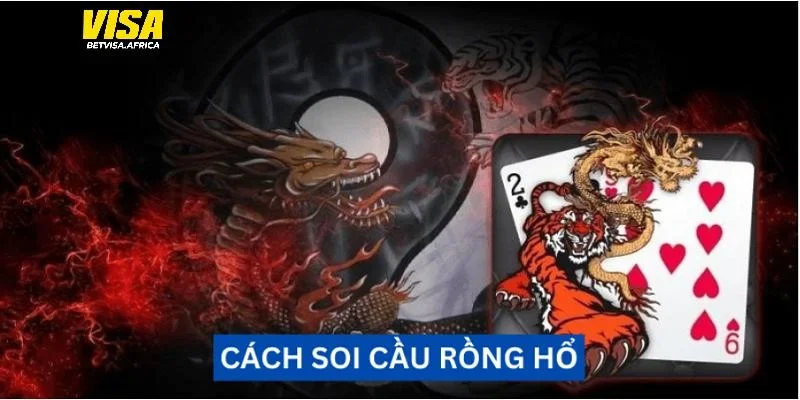 Cách soi cầu Rồng Hổ chuẩn xác tại Betvisa