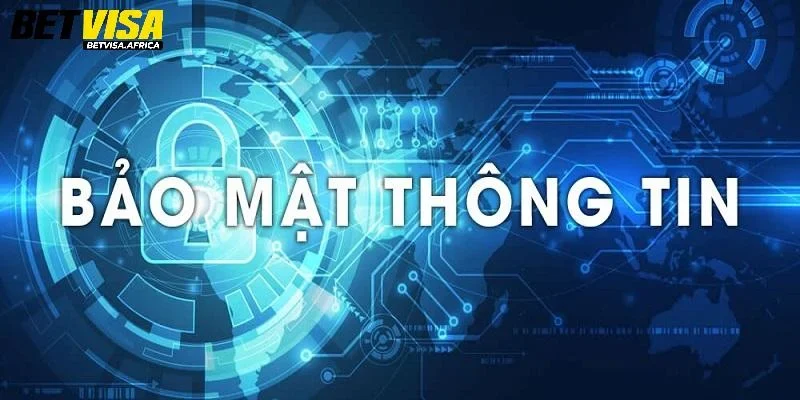Quyền lợi và trách nhiệm người chơi tại Betvisa