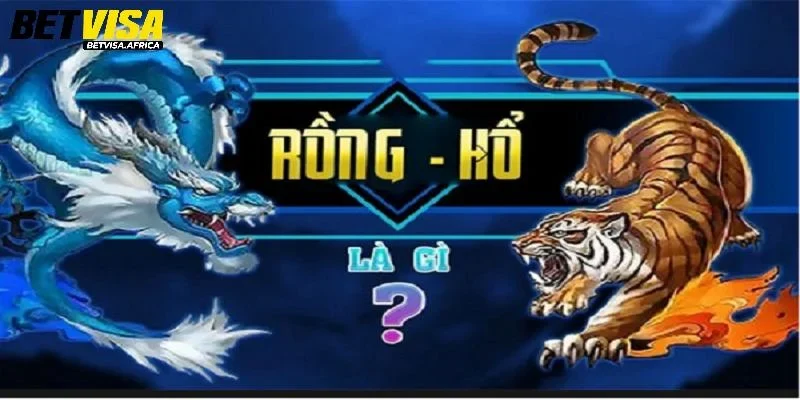 Khái niệm Rồng hổ là gì?